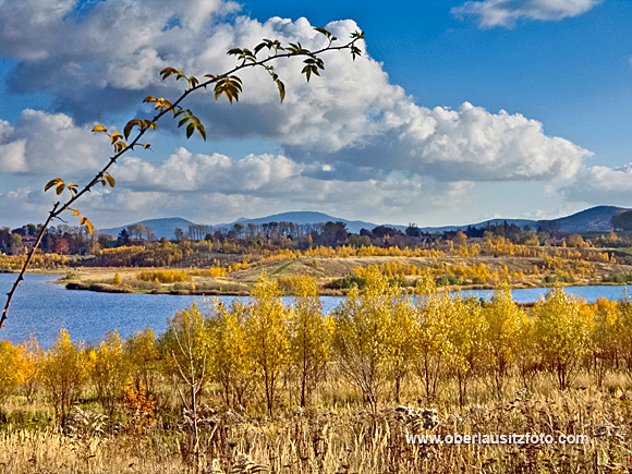 Foto von Peter Hennig PIXELWERKSTATT Herbst Laubfärbung am Olbersdorfer See im Hintergrund das Lausitzer Gebirge